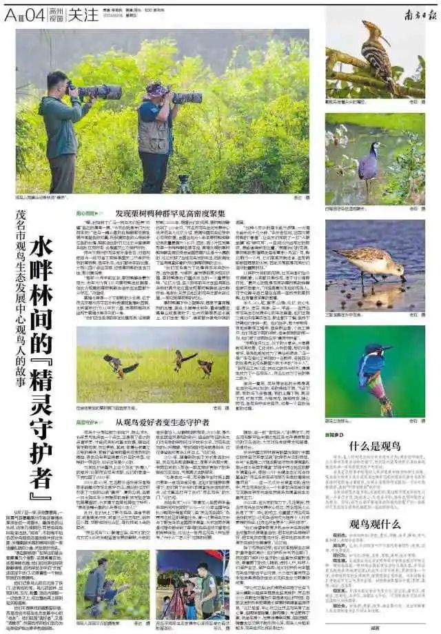 9月8日,第117期《南方日报·高州视窗》四版报道。 图片