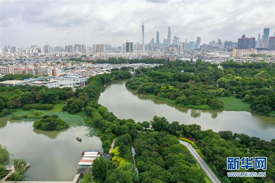 （环境）（11）海珠湿地将代表中国角逐“迪拜奖”