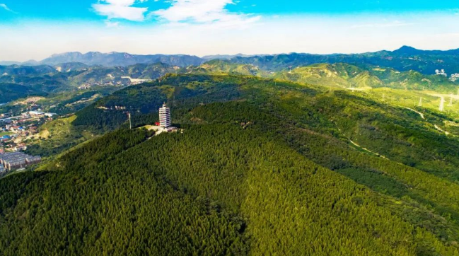 微信截图_20230312091857